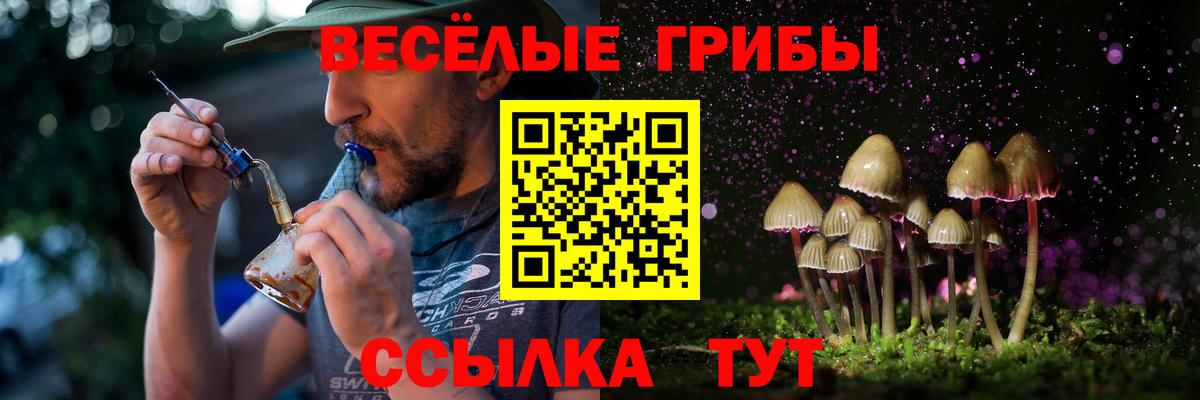 Комсомольск-на-Амуре  Галлюциногенные грибы Psilocybine cubensis  сколько стоит  Вход с VPN 